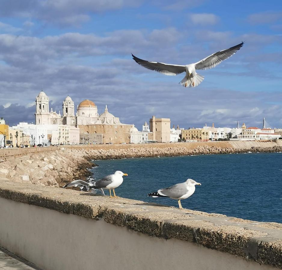 Apartamento Suite Caleta Cádiz Eksteriør billede